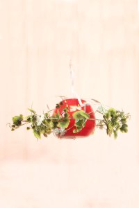 Ümelsan J326 E27 Çeri Sarkıt Avize