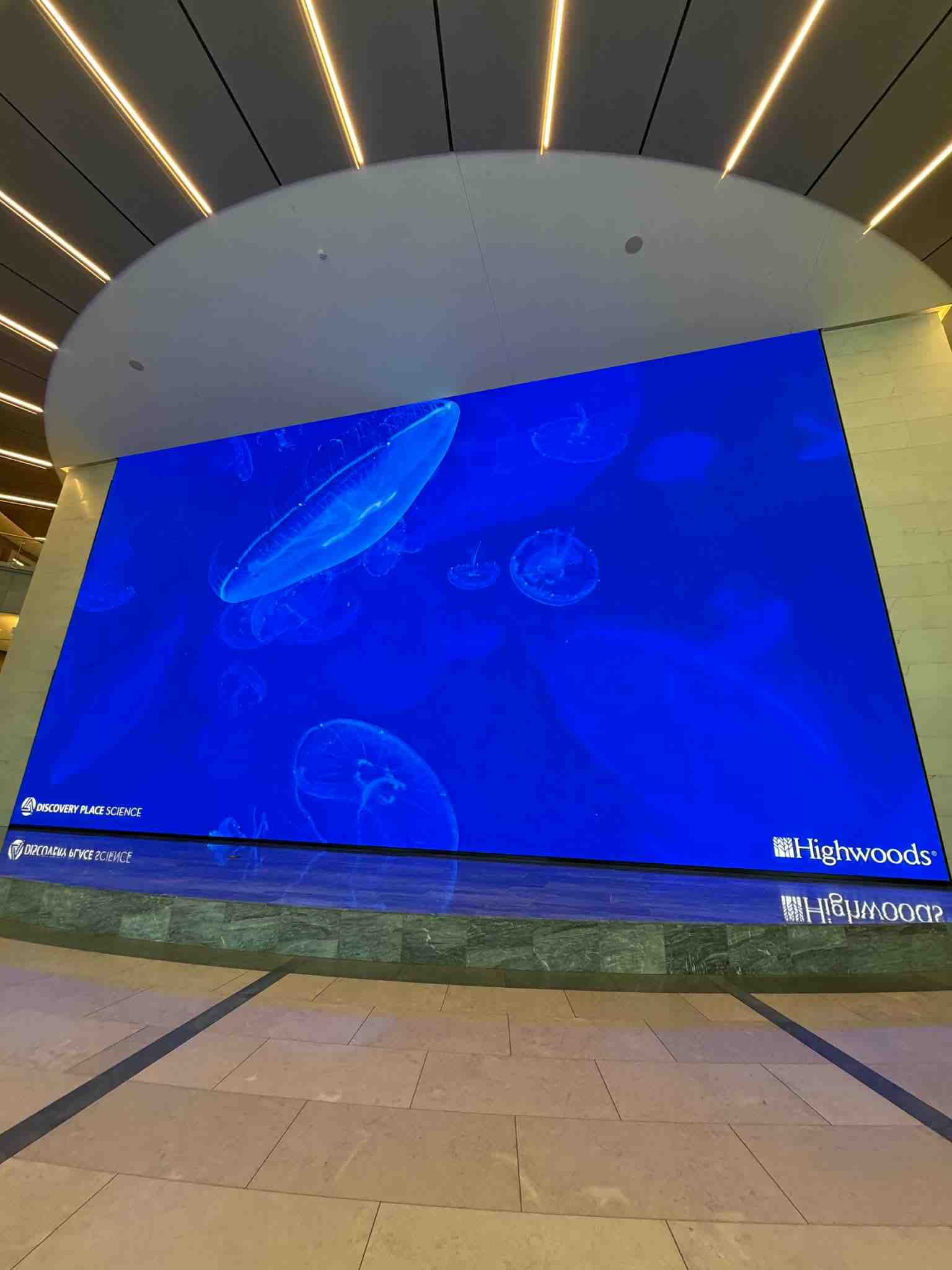 Live Jelly Cam displayed in the lobby of Bank of America Tower at Legacy Union in Charlotte