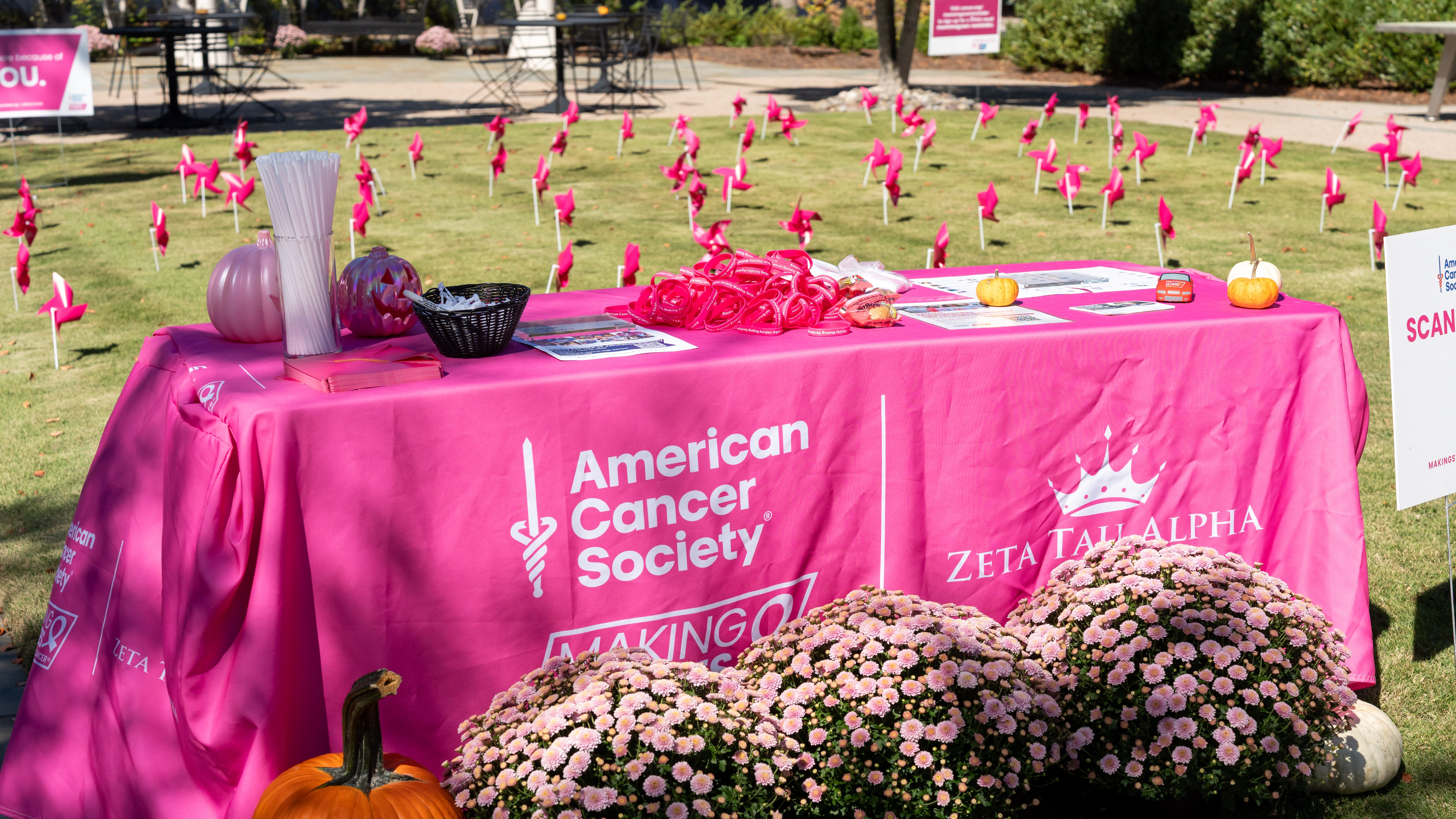Glen Lake Fall Festival Breast Cancer Awareness