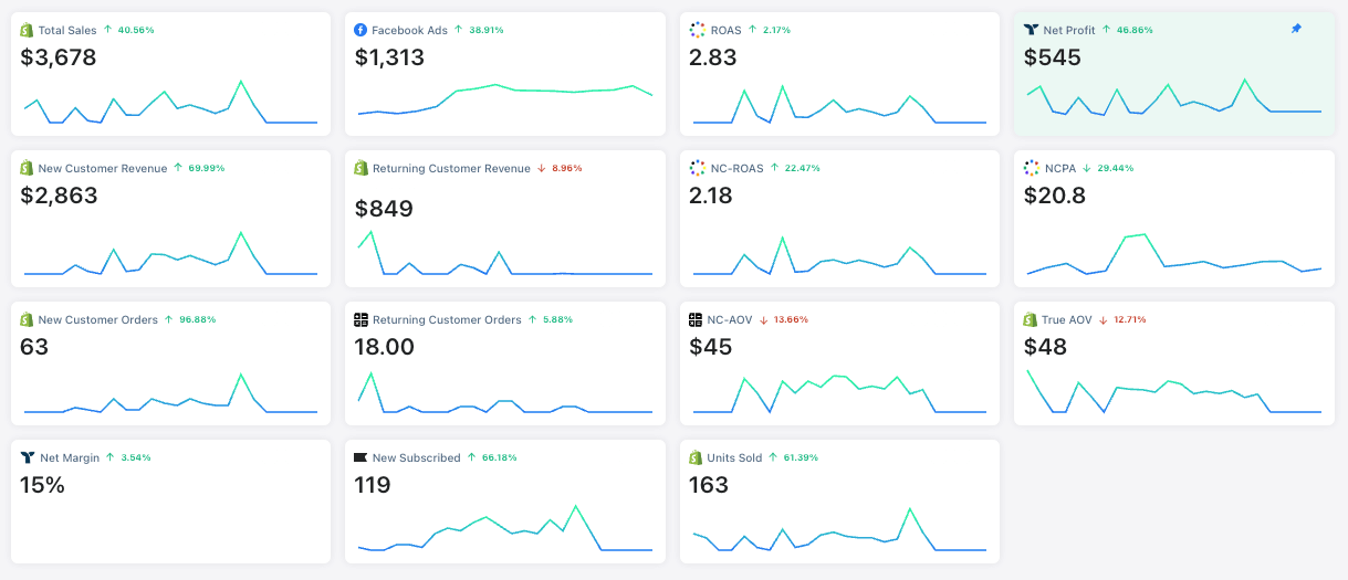 Tripe whale dashboard review from a CEO