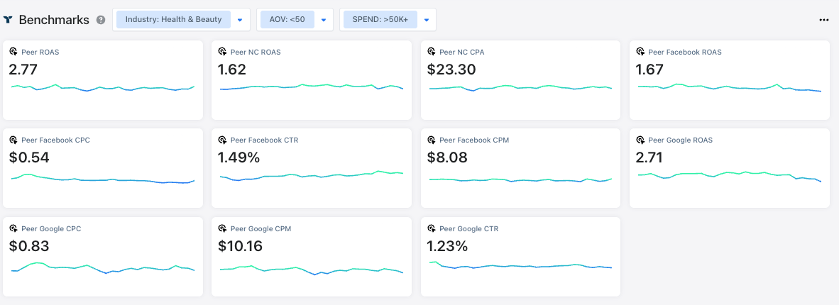 triple whale benchmark data review