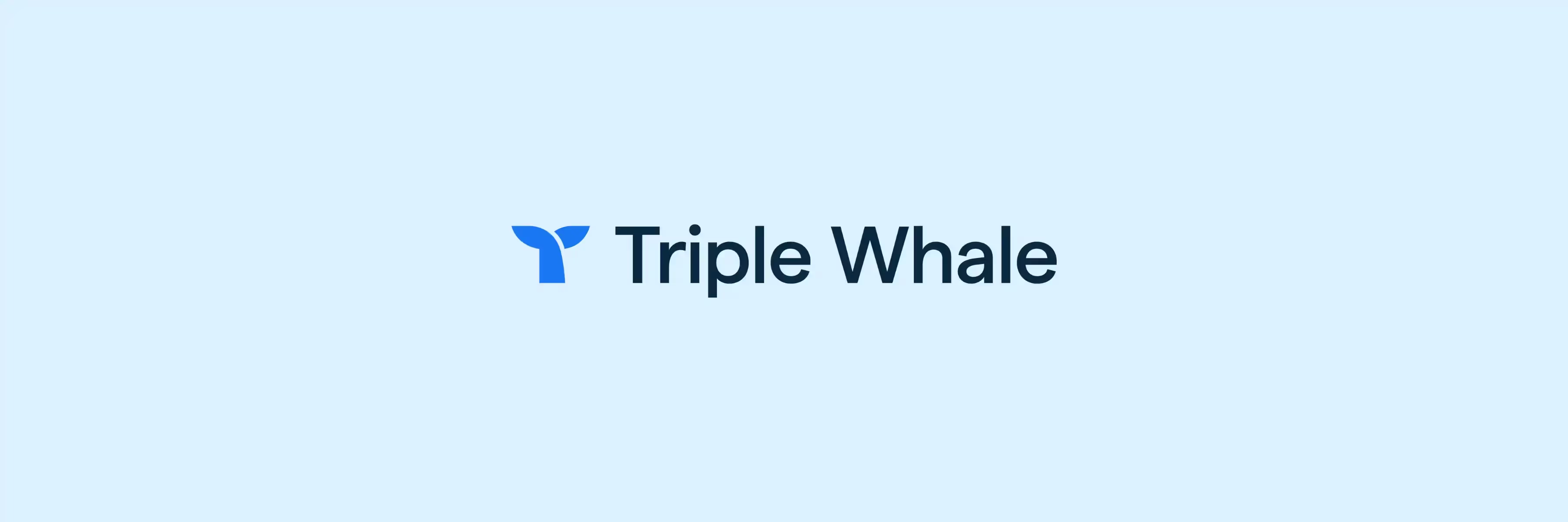 I Use Triple Whale Daily as a CEO - Here's My Review