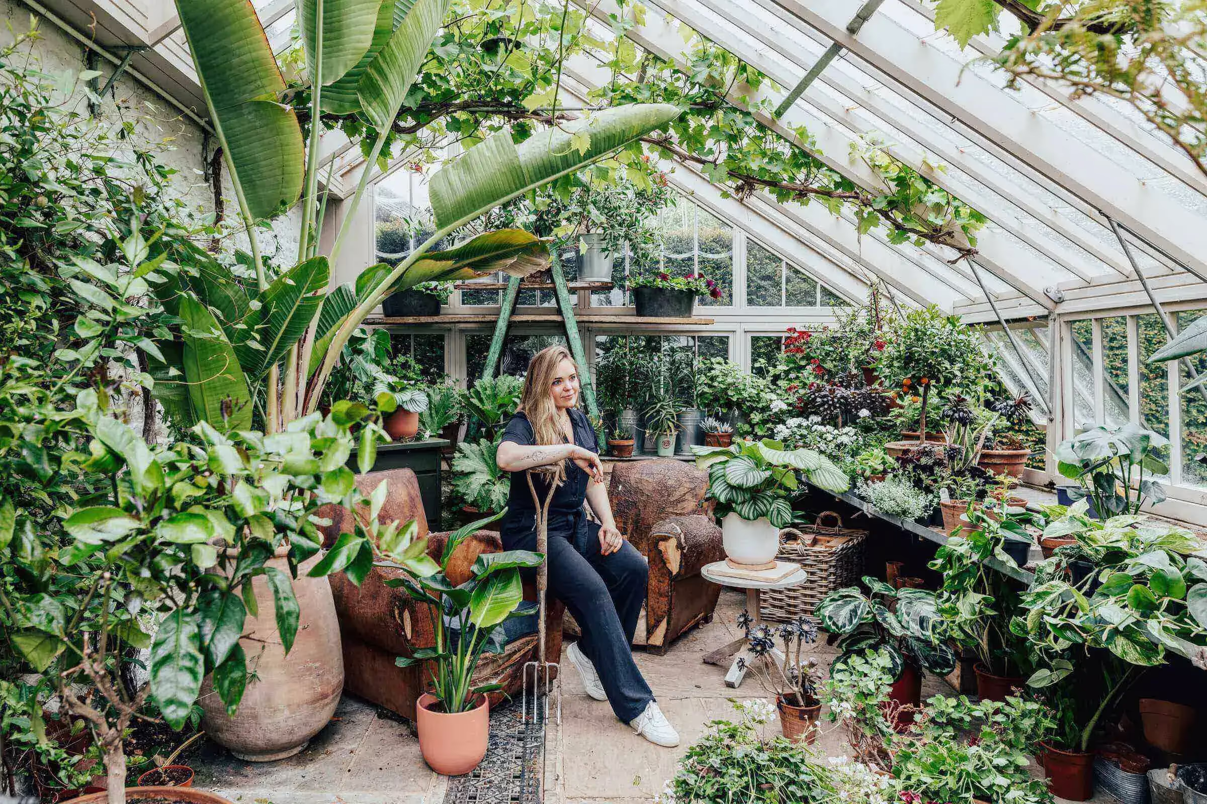 Under The Hood: Beth from Leaf Envy