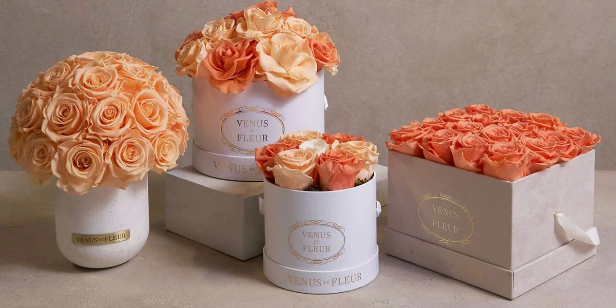 How Venus et Fleur crushed Valentine's Day with Consio AI