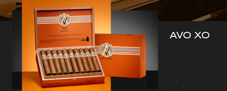 Avo XO