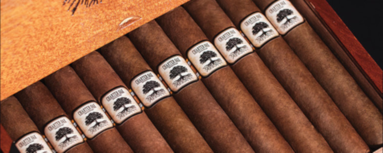 Charter Oak Habano