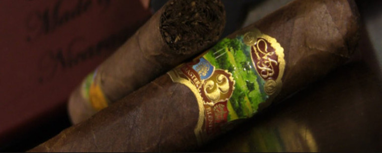 Oliva master blend iii