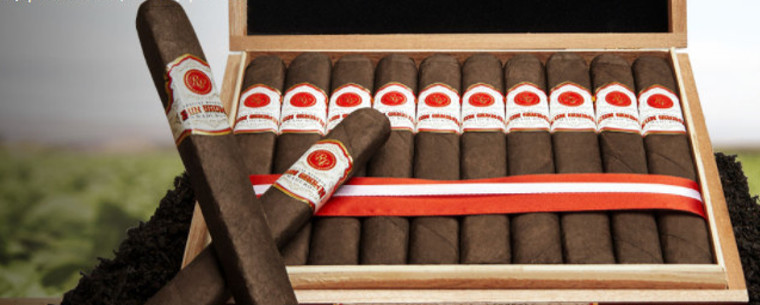 Rocky Patel Sungrown Maduro