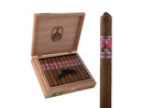 Foundation Aksum Claro Corona Gorda 