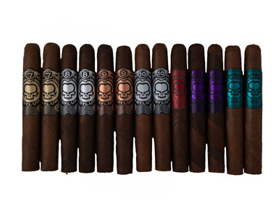 Asylum 13 Time Capsule 11/18 