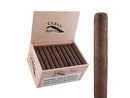 Cuban Rejects Robusto Maduro Box 