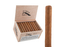 Cuban Rejects Robusto Natural Box 