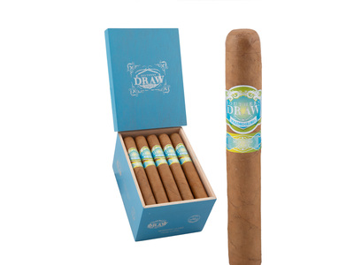 Southern Draw Morning Glory Gordo 