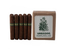 Umbagog Bronzeback Robusto 