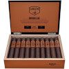Camacho Broadleaf, Gordo