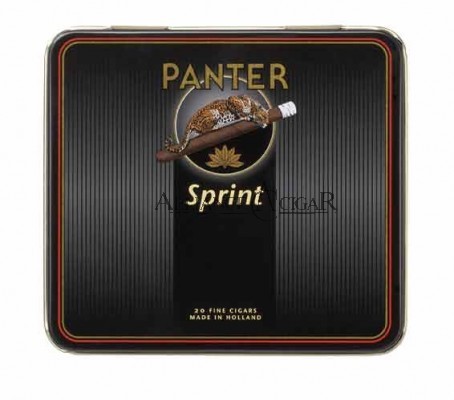 Panter, Sprint 