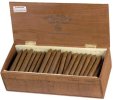 Rocky Patel Edge, Torpedo Corojo Cello