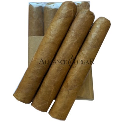 Sun Blessed and Rolled, Connecticut Shade Torpedo 