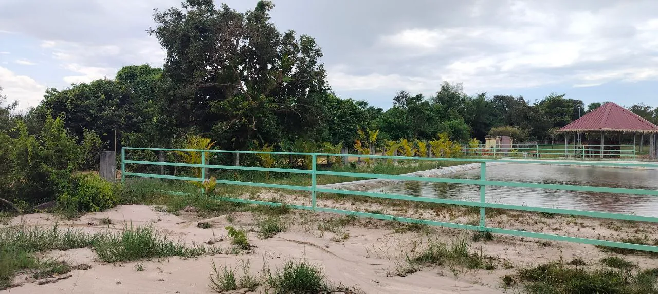 The new green rail fence around the fish pond, with a remodeled gazebo behind it