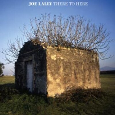 Joe Lally - There to Here