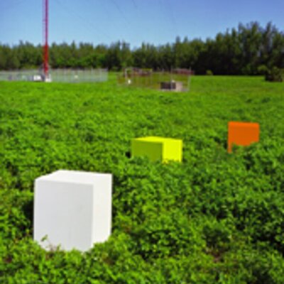 Caribbean - Plastic Explosives