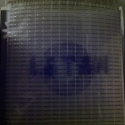 L&amp;T&amp;W - 3-song 7"