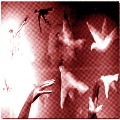 Buck Gooter - Consider the Grackles