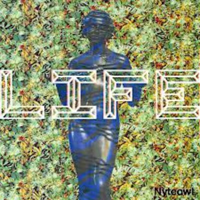 Nyteowl - Life