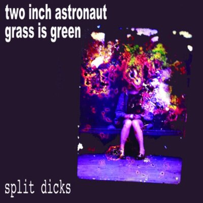 Two Inch Astronaut - Split Dicks