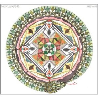 Skull Defekts - Peer Amid