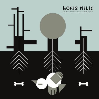 Boris Milic - Undo, Redo and Clear 