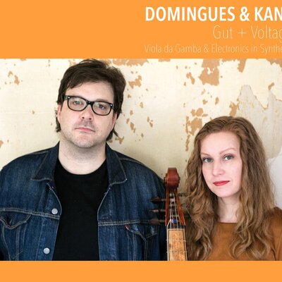 Domingues and Kane - Gut + Voltage