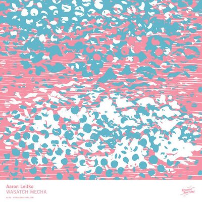 Aaron Leitko - Wasatch Mecha