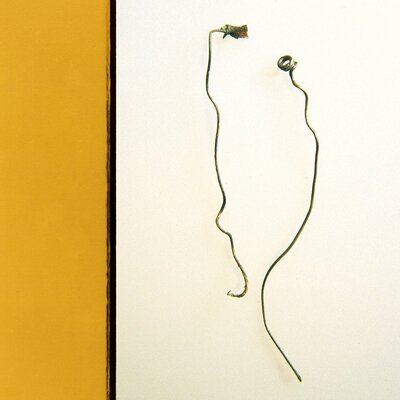 Smart Went Crazy - Con Art 20th Anniversary Edition