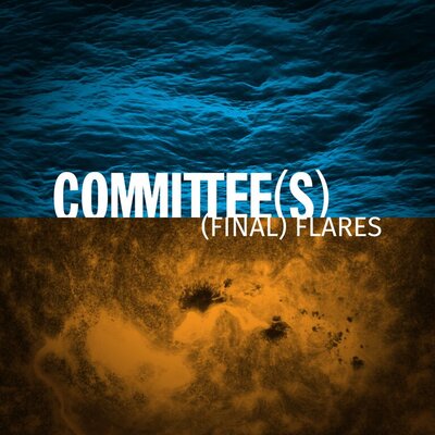 Committee(s)  - (Final) Flares