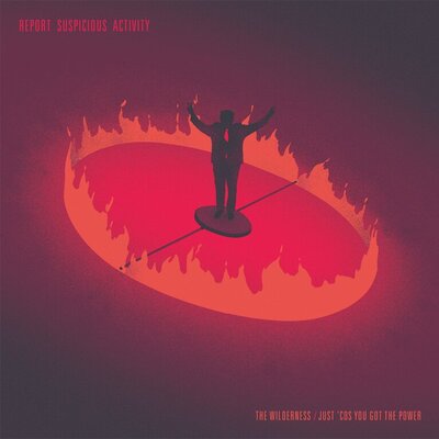 Report Suspicious Activity - The Wilderness / Just Cos You Got the Power