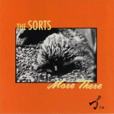 Sorts - More There