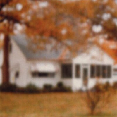 Lungfish - Rainbows from Atoms