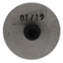 A/Swing Lower Pivot Bearing