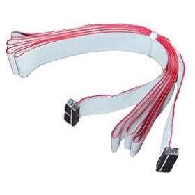 FLAT RIBBON HARNESS