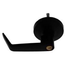 ENTRY LEVER TRIM W/CYLINDER-DB