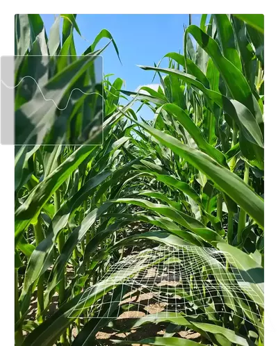 03 data collage 500x620 2x