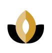 Communication Towers Icon