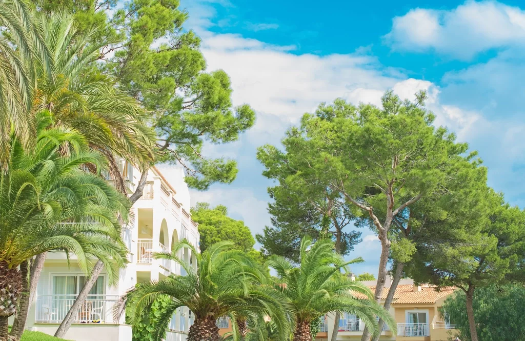 House surrounded with trees