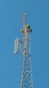 Design-Build-Services