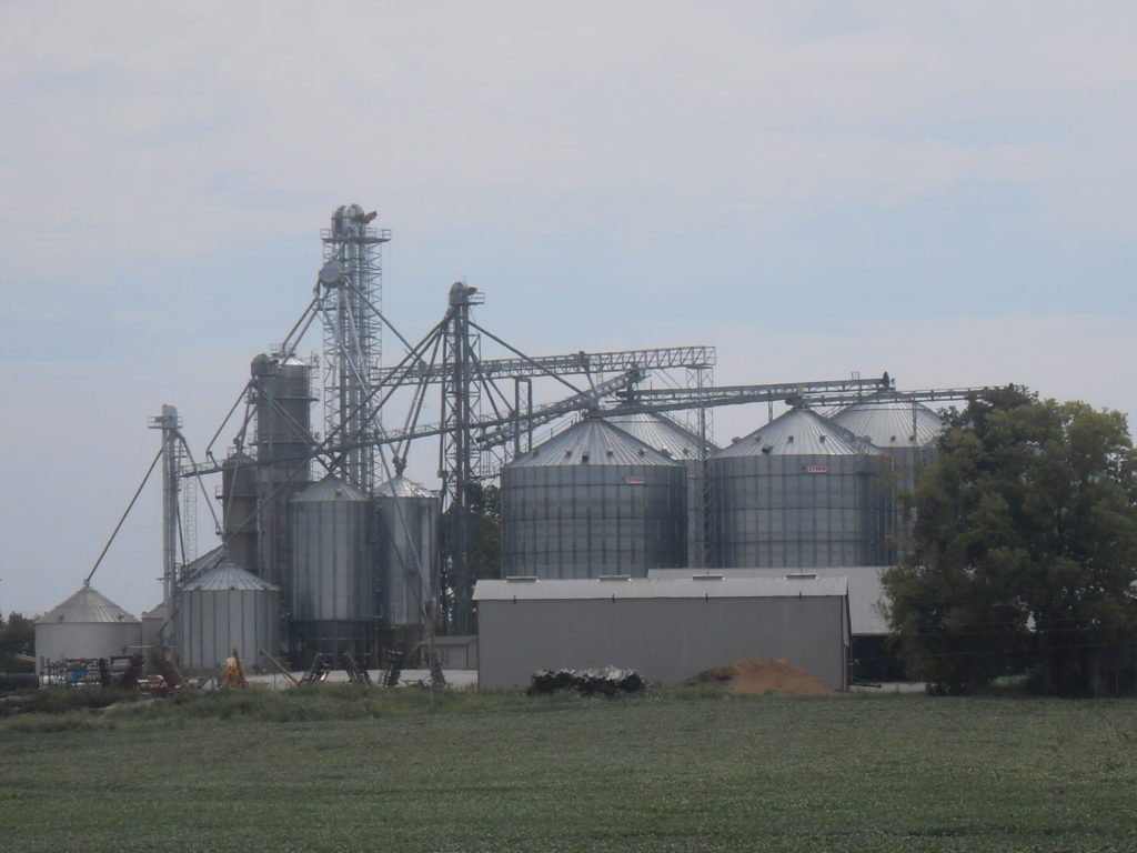 Design-Build Services