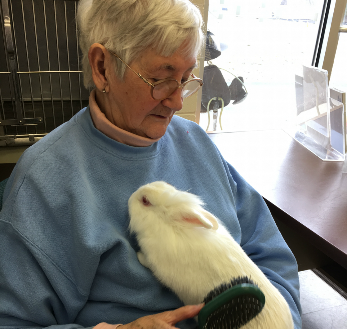 Volunteer Humane Society Of Whitley County