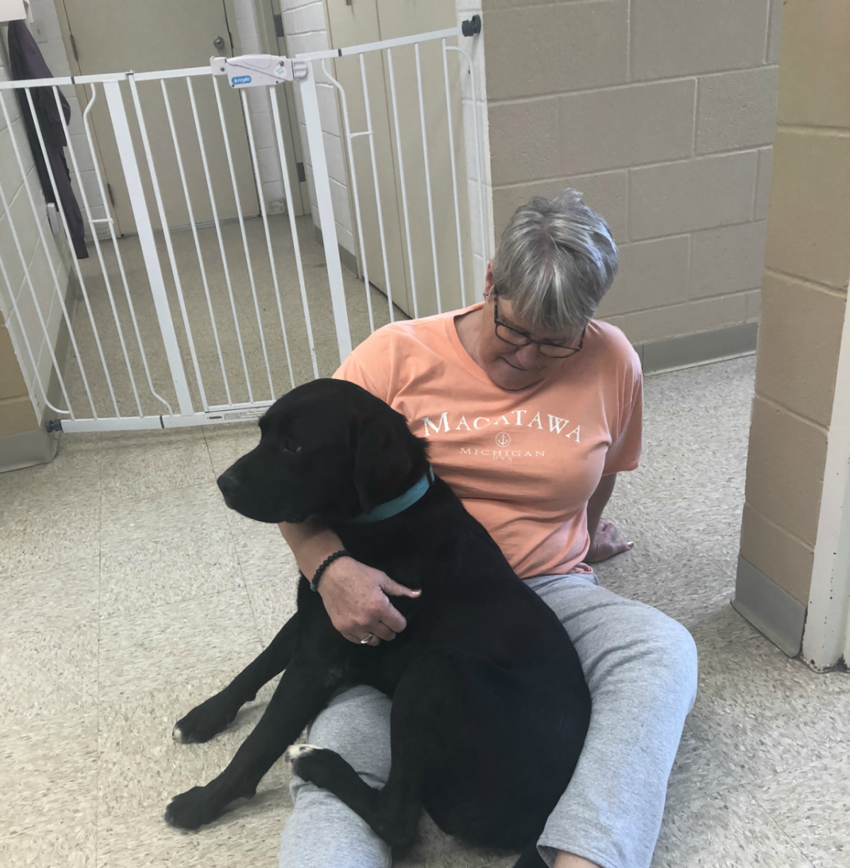 Volunteer Humane Society Of Whitley County