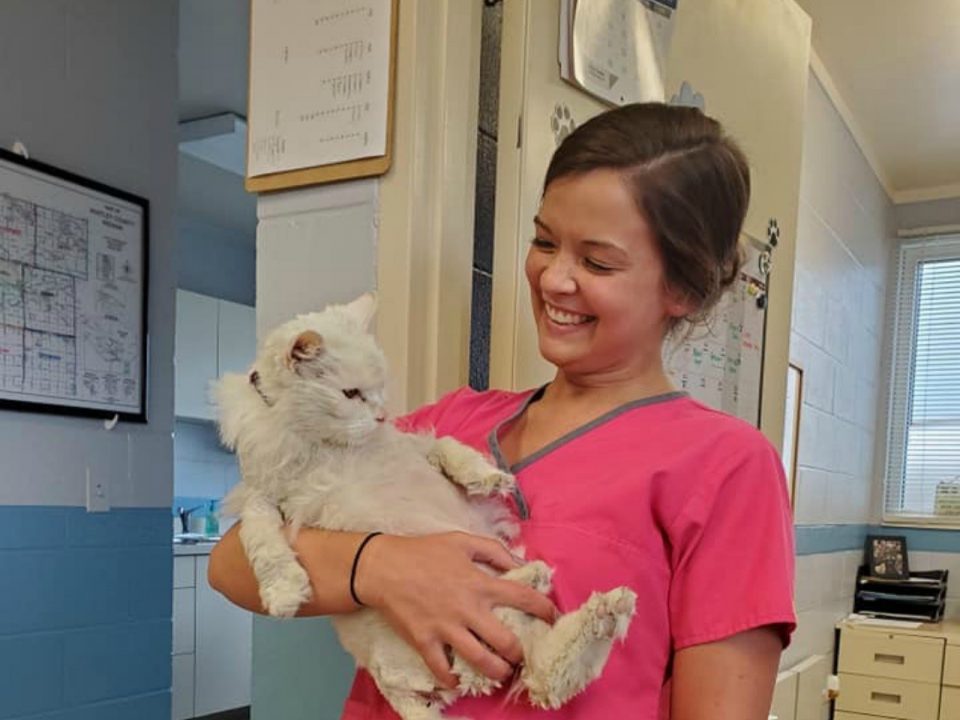 About Humane Society Of Whitley County