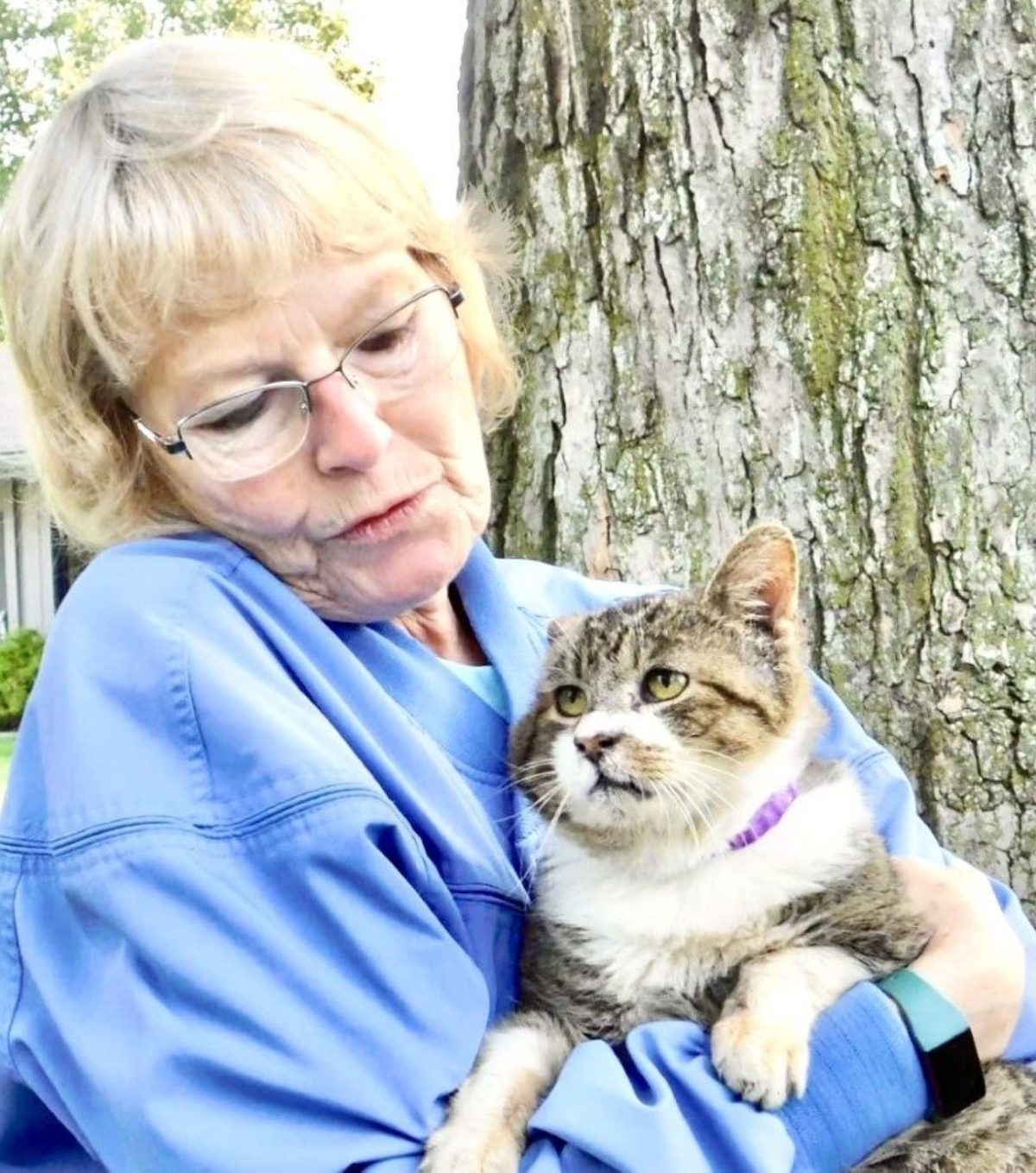 Volunteer Humane Society Of Whitley County